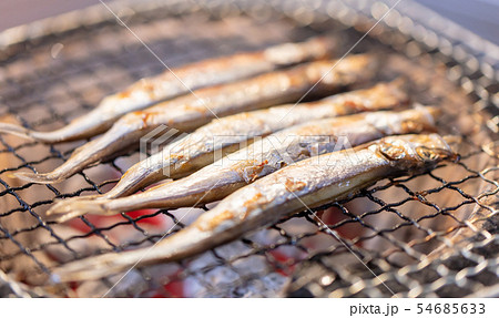 子持ちシシャモ(カペリン)･BBQ･bbq･炭火焼･網焼･備長炭･七輪･キャンプ･食事･食べ物･炭 54685633
