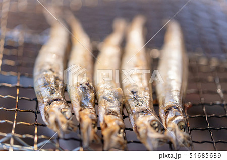 子持ちシシャモ(カペリン)･BBQ･bbq･炭火焼･網焼･備長炭･七輪･キャンプ･食事･食べ物･炭 54685639