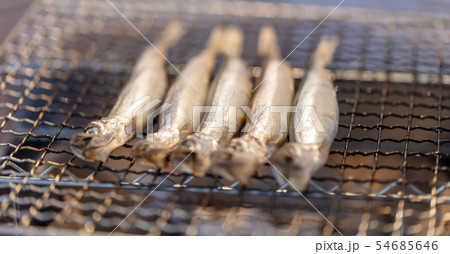 子持ちシシャモ(カペリン)・BBQ・bbq・炭火焼・網焼・備長炭・七輪・キャンプ・食事・食べ物・炭 子持ちシシャモ(カペリン)・BBQ・bbq・炭火焼・網焼・備長炭・七輪・キャンプ・食事・食べ物・炭 54685646