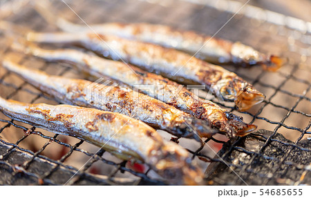 子持ちシシャモ(カペリン)・BBQ・bbq・炭火焼・網焼・備長炭・七輪・キャンプ・食事・食べ物・炭 子持ちシシャモ(カペリン)・BBQ・bbq・炭火焼・網焼・備長炭・七輪・キャンプ・食事・食べ物・炭 54685655