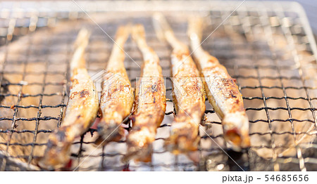 子持ちシシャモ(カペリン)・BBQ・bbq・炭火焼・網焼・備長炭・七輪・キャンプ・食事・食べ物・炭 子持ちシシャモ(カペリン)・BBQ・bbq・炭火焼・網焼・備長炭・七輪・キャンプ・食事・食べ物・炭 54685656