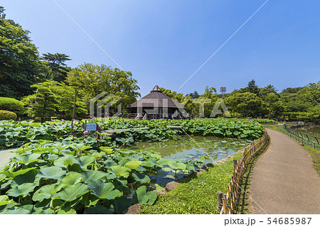 千葉公園の風景 54685987