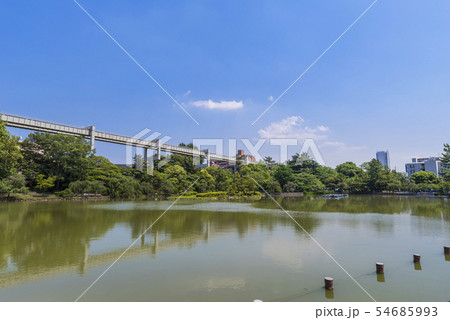 千葉公園の風景 千葉公園の風景 54685993