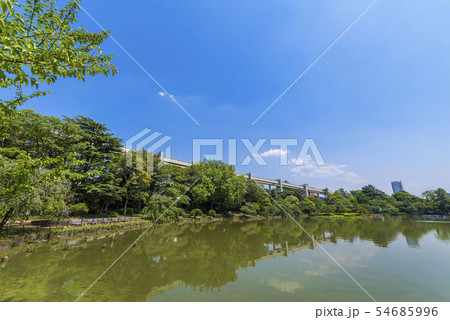 千葉公園の風景 千葉公園の風景 54685996