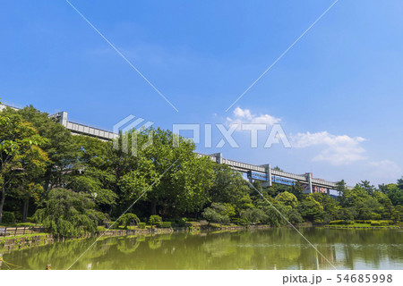 千葉公園の風景 54685998