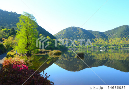 藺牟田池 藺牟田池 54686085