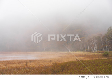 栃木県日光市　奥日光　小田代原　（10月） 54686170