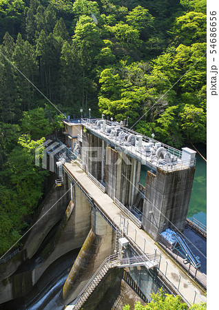 新緑の白丸ダム 54686656