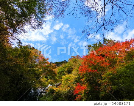 美しい秋の景色　箱根　飛龍の滝　紅葉　秋晴れ 54688171