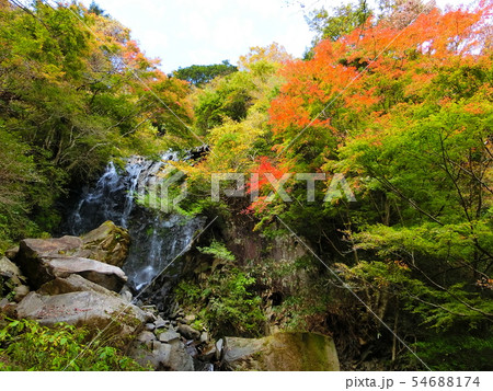 美しい秋の景色 箱根 飛龍の滝 紅葉 秋晴れ 美しい秋の景色 箱根 飛龍の滝 紅葉 秋晴れ 54688174
