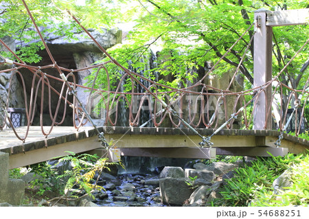 足立区北綾瀬 しょうぶ沼公園のあやとり橋 足立区北綾瀬 しょうぶ沼公園のあやとり橋 54688251