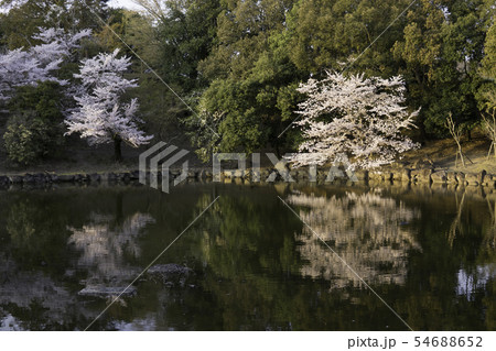 【奈良県】 奈良公園 浅茅ヶ原 浮見堂 【奈良県】 奈良公園 浅茅ヶ原 浮見堂 54688652