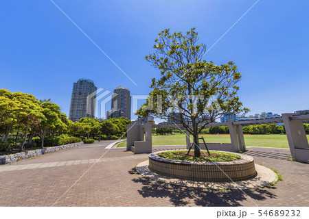 幕張海浜公園の風景 54689232