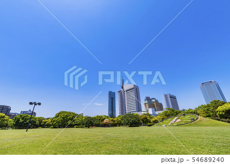 幕張海浜公園  大芝生広場と幕張新都心のビルディング 54689240