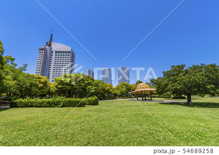 幕張海浜公園 大芝生広場と幕張新都心のビルディング 幕張海浜公園 大芝生広場と幕張新都心のビルディング 54689258