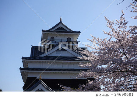 上山城と桜 54690681