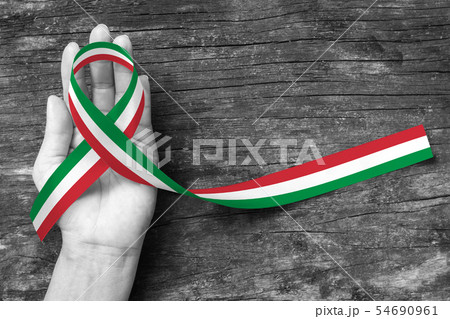 Italy national flag ribbon pattern on people hand 54690961