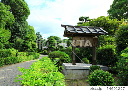 応神天皇陵古墳 54691297