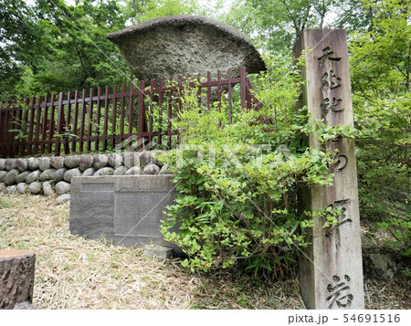 岐阜県 恵那峡 奇岩の傘岩(正面) 岐阜県 恵那峡 奇岩の傘岩(正面) 54691516