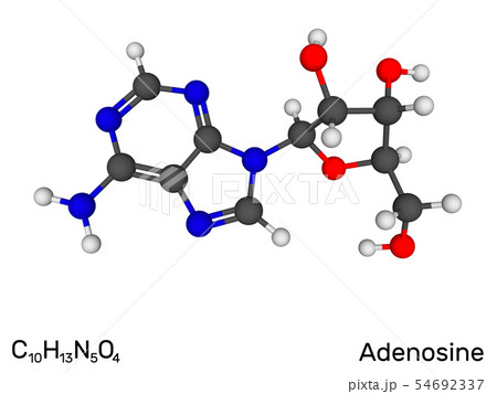 Adenosine, nucleoside, neurotransmitter model Adenosine, nucleoside, neurotransmitter model 54692337
