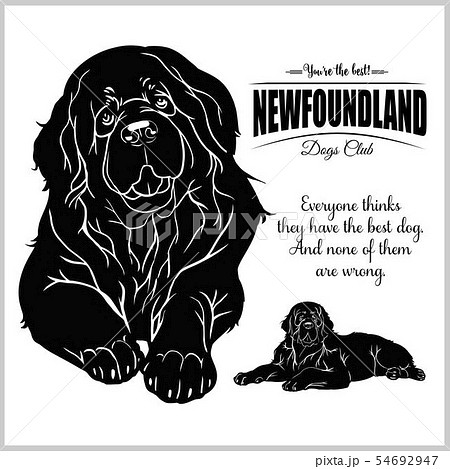 ヨーロピアンアンティーク　犬図鑑　ダックスフンド、ニューファンドランド　イラスト Newfoundland - vector illustration for t-shirt,のイラスト素材