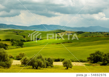 Green Tuscany hills 54692976