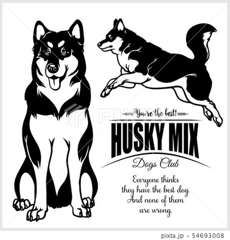 Husky Mix - vector illustration for t-shirt, logo and template badges Husky Mix - vector illustration for t-shirt, logo and template badges 54693008