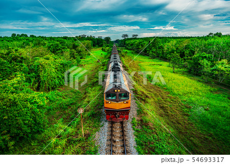 Train on railway transportation in forest and Train on railway transportation in forest and 54693317