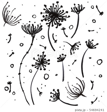 Hand Drawn Floral Doole Setのイラスト素材 [54694241] - PIXTA