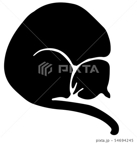 Hand Drawn Vector Cat Silhouette 54694245