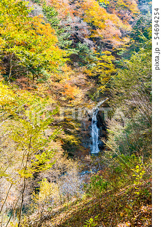 【山梨県】西沢渓谷 54694254