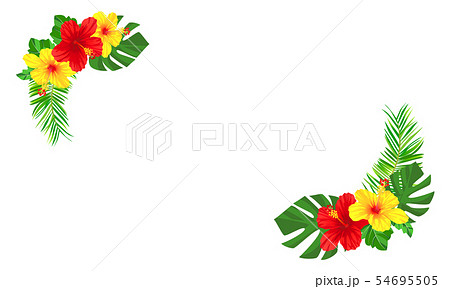 ハイビスカスとヤシの葉とモンステラのトロピカルなフレーム 01のイラスト素材 [54695505] - PIXTA