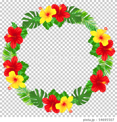 ハイビスカスとヤシの葉とモンステラのトロピカルな丸いフレーム 01 ハイビスカスとヤシの葉とモンステラのトロピカルな丸いフレーム 01 54695507