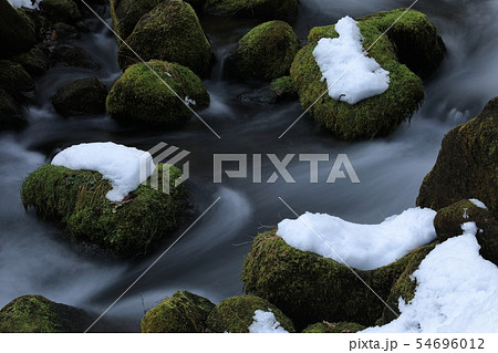 大山 木谷沢渓流 雪景色 大山 木谷沢渓流 雪景色 54696012