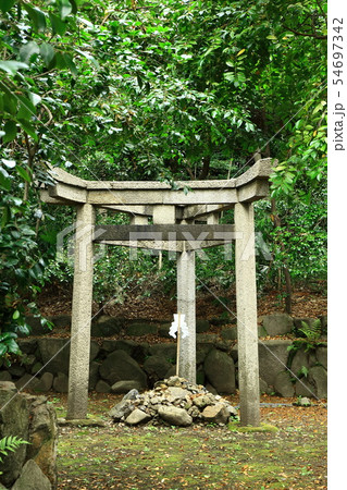 三柱鳥居 54697342