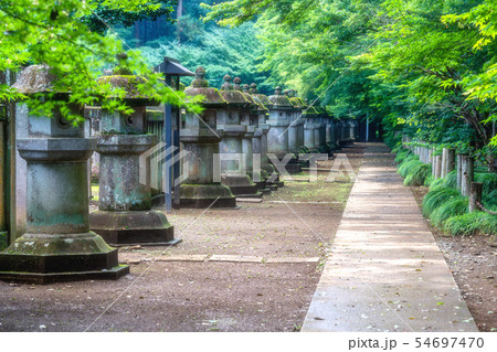 埼玉　初夏の平林寺（石燈篭） 54697470