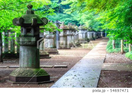 埼玉 初夏の平林寺(石燈篭) 埼玉 初夏の平林寺(石燈篭) 54697471