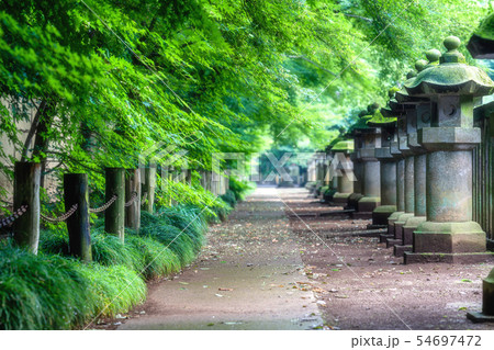 埼玉 初夏の平林寺(石燈篭) 埼玉 初夏の平林寺(石燈篭) 54697472