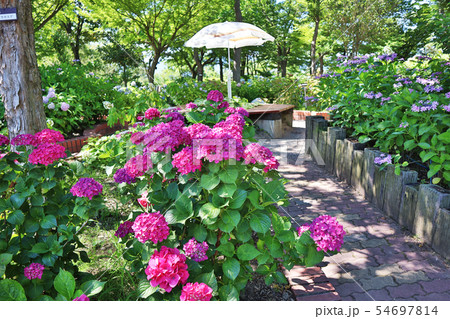 芦刈園 芦刈園 54697814