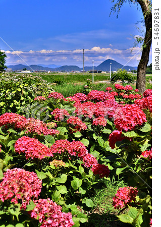 芦刈園 芦刈園 54697831