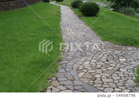河川敷きの遊歩道 54698796