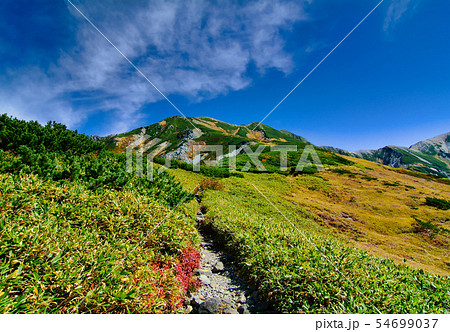 剣御前への登山道 剣御前への登山道 54699037