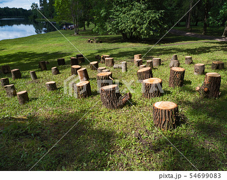 Ecotourism. Seats made of wooden on the lawn 54699083