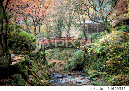 秋の横蔵寺 54699555