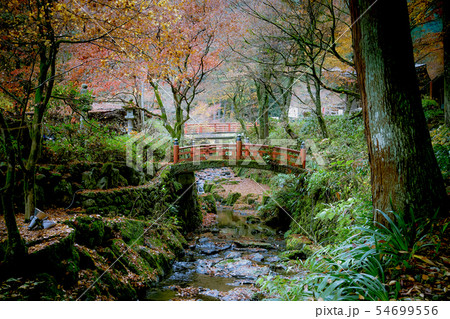 秋の横蔵寺 54699556
