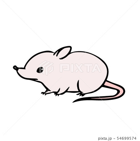 マウス しろ のイラスト素材