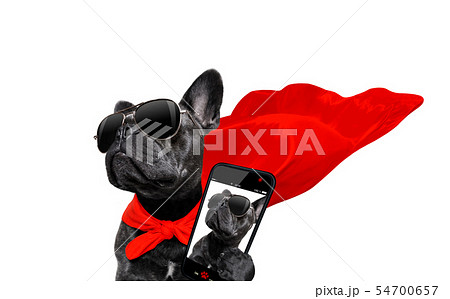 super hero dog super hero dog 54700657