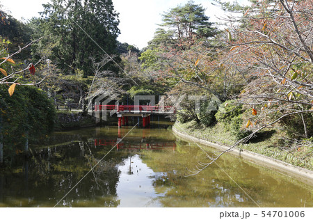 津偕楽公園 SL機関車 D51 三重縣護国神社 津偕楽公園 SL機関車 D51 三重縣護国神社 54701006