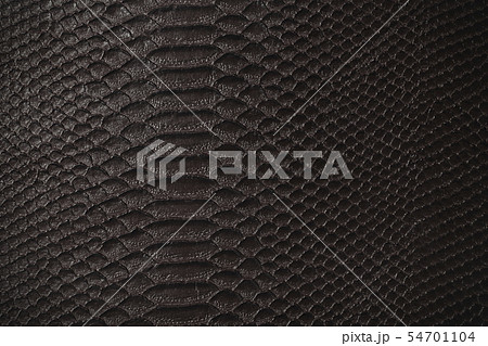 ワニ革のテクスチャー 54701104