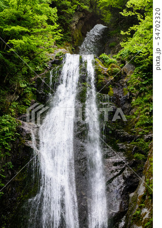 回顧の滝 54702320